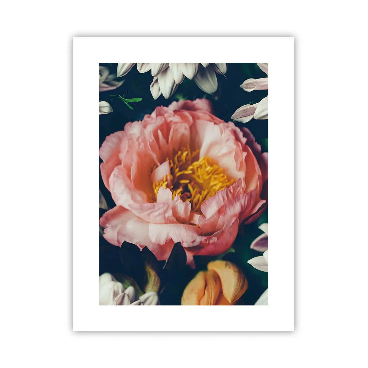 Poster - Mit barocker Pracht - 30x40 cm
