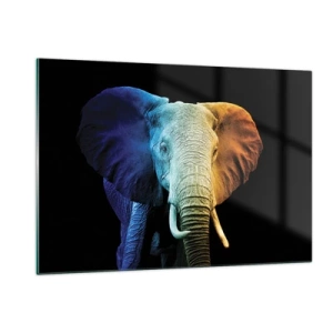 Glasbild - Bild auf glas - Buntes Porträt eines Elefanten auf schwarzem Hintergrund - 120x80cm - Exzentrisch, kein Verrückter - Moderne Wanddekoration für Wohnzimmer und Schlafzimmer ARTTOR