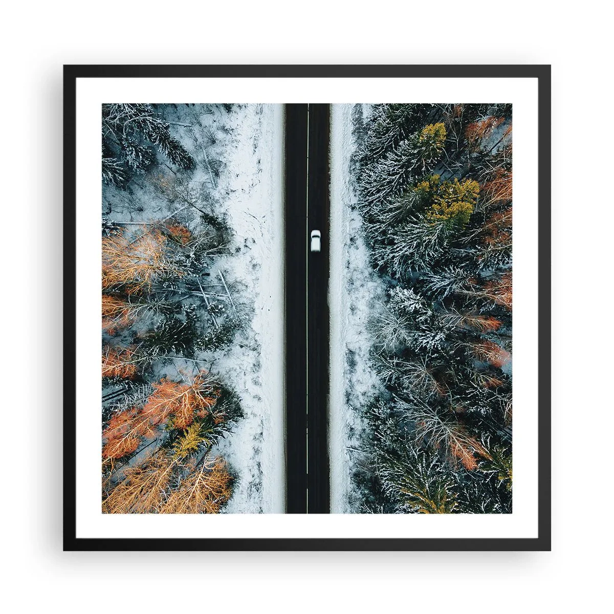 Poster in einem schwarzem Rahmen - Schnitt durch den Winterwald - 60x60 cm
