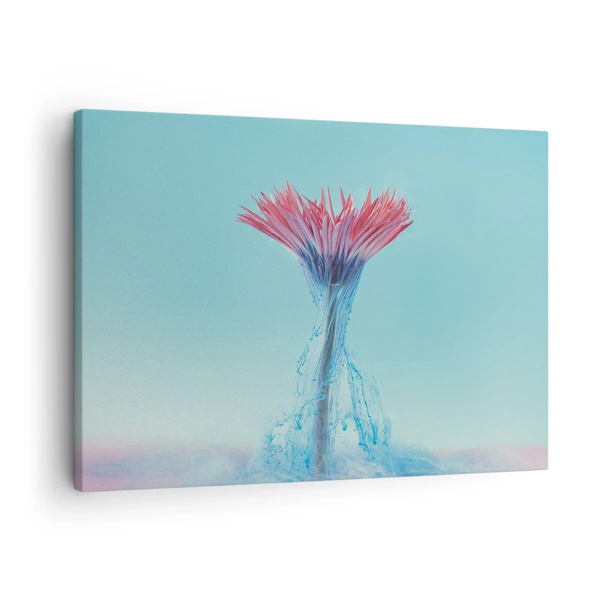 Bild auf Leinwand - Leinwandbild - Eine rosa und blaue Blume in einem künstlerischen Arrangement vor einem pastellfarbenen Hintergrund - 70x50cm - In einer belebenden Umarmung - Moderne Wanddekoration für Wohnzimmer und Schlafzimmer ARTTOR