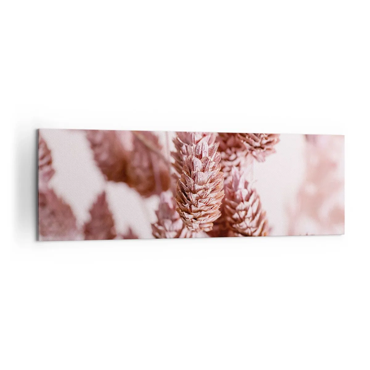 Bild auf Leinwand - Leinwandbild - Eine Nahaufnahme der zarten rosa Ähren von Ziergräsern - 160x50cm - Scheinbar unauffällig - Moderne Wanddekoration für Wohnzimmer und Schlafzimmer ARTTOR