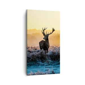 Bild auf Leinwand - Leinwandbild - Gekrönt auf seinem Besitz - 45x80 cm