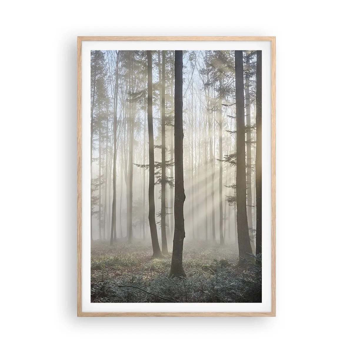 Poster in einem Rahmen aus heller Eiche - Der Nebel ist auch aufgewacht - 70x100 cm