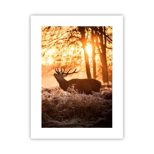 Poster - Der Traum eines Jägers - 30x40 cm