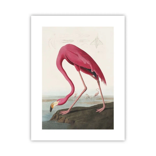 Poster - Erstaunliche Kreation - 30x40 cm