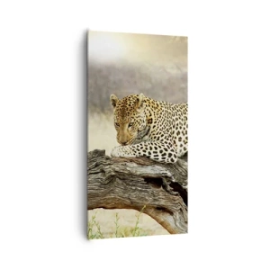 Bild auf Leinwand - Leinwandbild - Ich gehe meine eigenen Wege - 65x120 cm