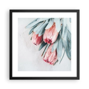 Poster in einem schwarzem Rahmen - Schämen sich für ihre eigene Schönheit - 40x40 cm