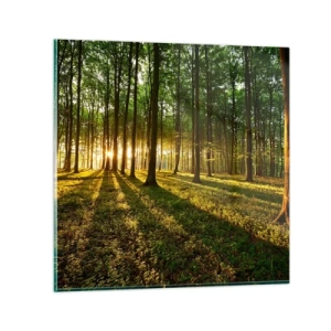 Glasbild - Bild auf glas - Alle Frühlingsfotografie - 50x50 cm
