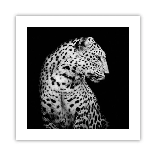 Poster - Rechtes Profil perfekt! - 40x40 cm