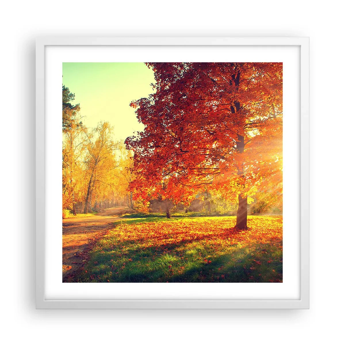 Poster in einem weißen Rahmen - Unhöflich ist schön - 50x50 cm