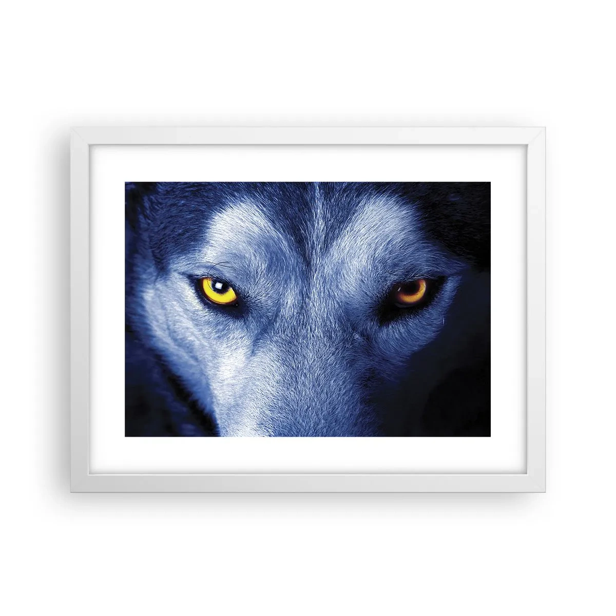 Poster in einem weißen Rahmen - Faszinierender Blick - 40x30 cm