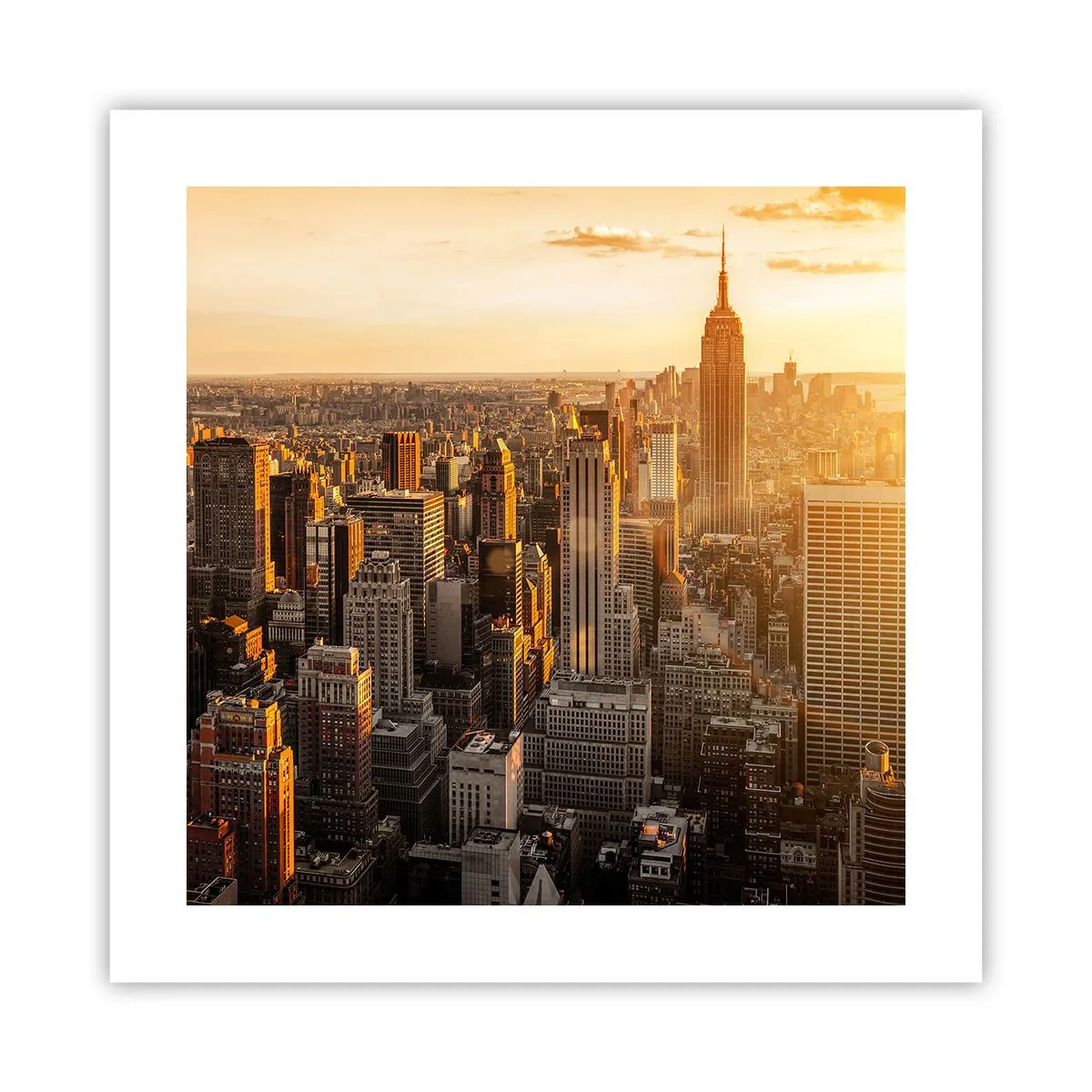 Poster - In der Sonne wachsen - 40x40 cm