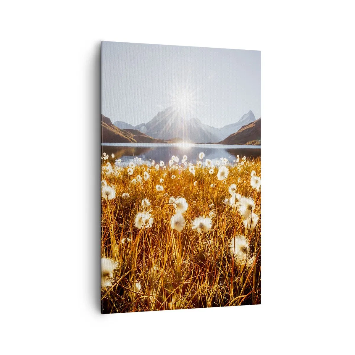 Bild auf Leinwand - Leinwandbild - Steinhärte, Grasweichheit - 80x120 cm