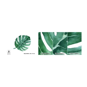 Fototapetenmuster Standard Eco - Grünes Konzept - Monstera, Blatt, Boho - 100x30 cm