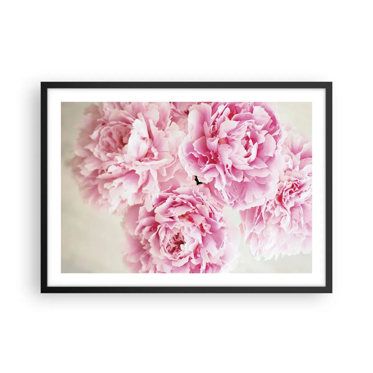 Poster in einem schwarzem Rahmen - Ein Strauß rosa Pfingstrosen auf hellem Hintergrund - 70x50cm - In rosa Glamour - Moderne Wanddekoration für Wohnzimmer und Schlafzimmer ARTTOR