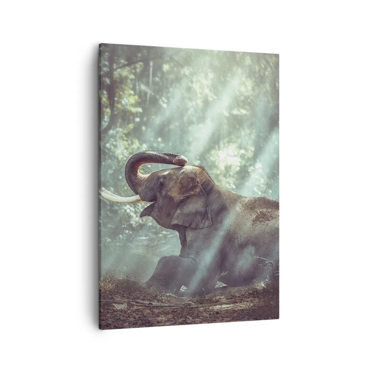 Bild auf Leinwand - Leinwandbild - Ein Junge und ein Elefant in einer sonnenbeschienenen Waldlandschaft - 50x70cm - Und hör dir das an... - Moderne Wanddekoration für Wohnzimmer und Schlafzimmer ARTTOR