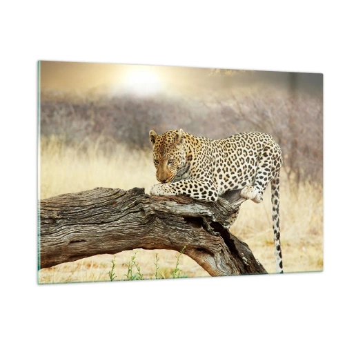 Glasbild - Bild auf glas - Ein Leopard ruht auf einem Holzast - 120x80cm - Ich gehe meine eigenen Wege - Moderne Wanddekoration für Wohnzimmer und Schlafzimmer ARTTOR