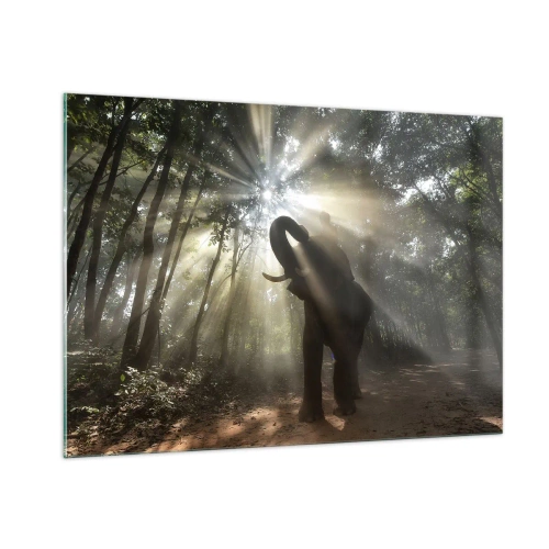 Glasbild - Bild auf glas - Ein Elefant in einem Wald, der vom Sonnenlicht erleuchtet wird - 100x70cm - Unter dem Glücksstern - Moderne Wanddekoration für Wohnzimmer und Schlafzimmer ARTTOR