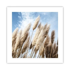 Poster - Sonnige und windige Liebkosungen - 40x40 cm