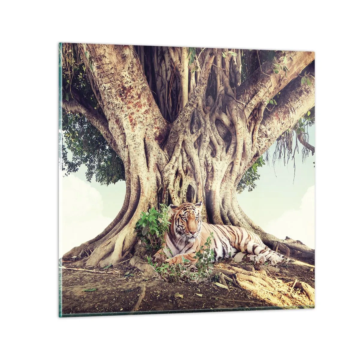 Glasbild - Bild auf glas - Blick aus dem Buch Genesis - 30x30 cm