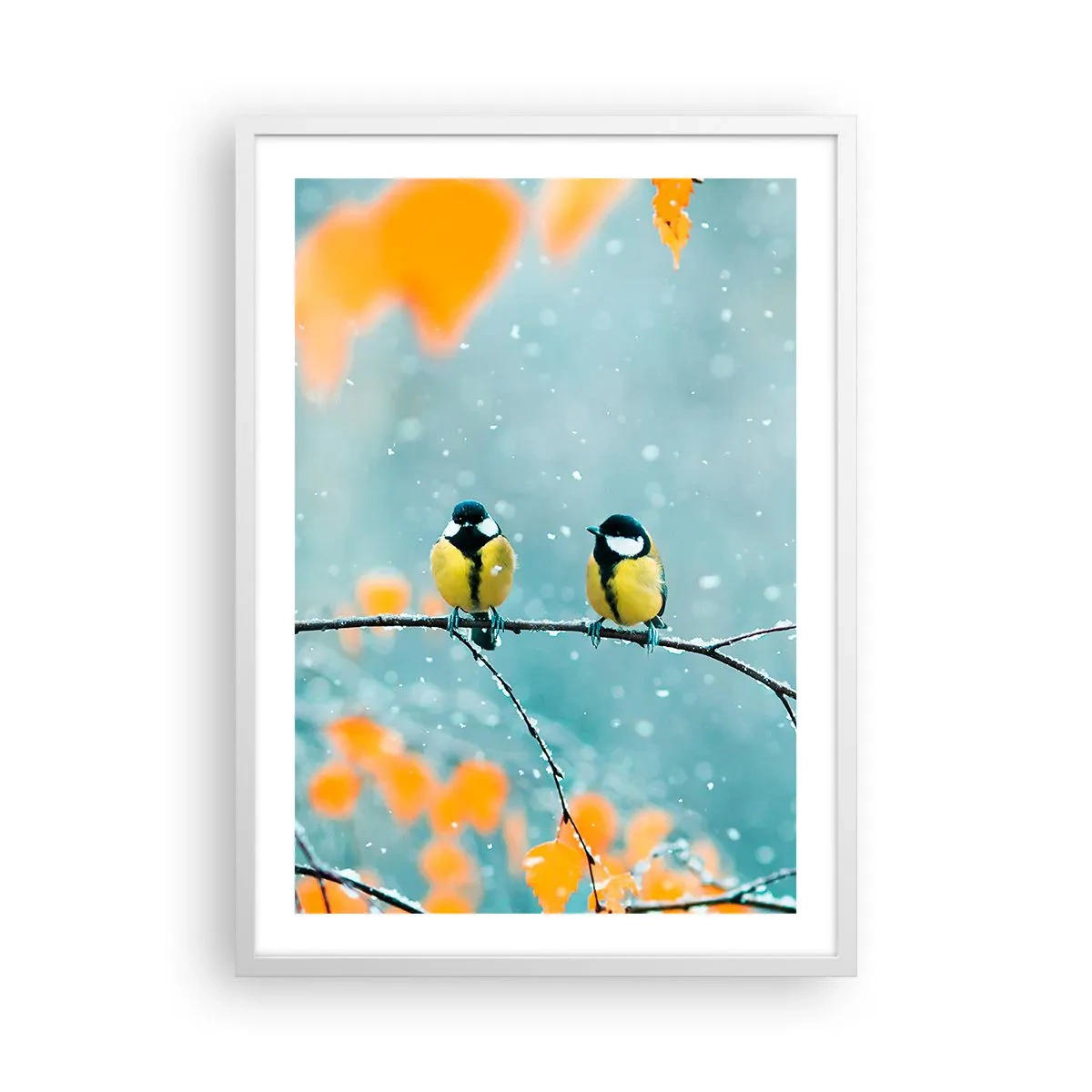Poster in einem weißen Rahmen - Vogelklatsch - 50x70 cm