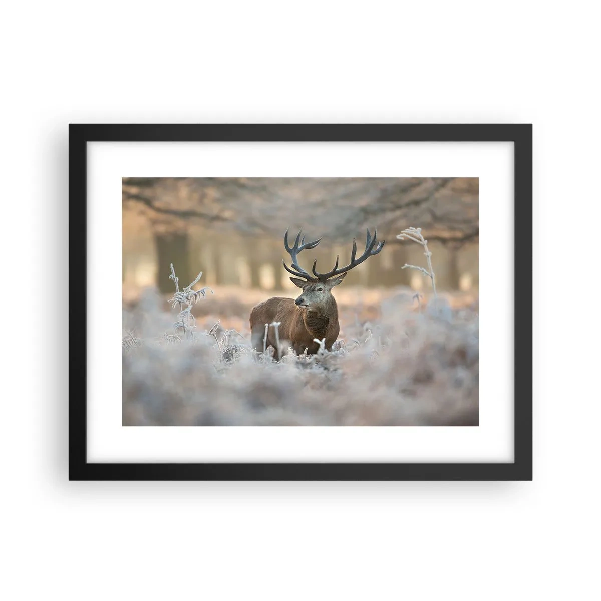 Poster in einem schwarzem Rahmen - Ein flotter Morgen - 40x30 cm