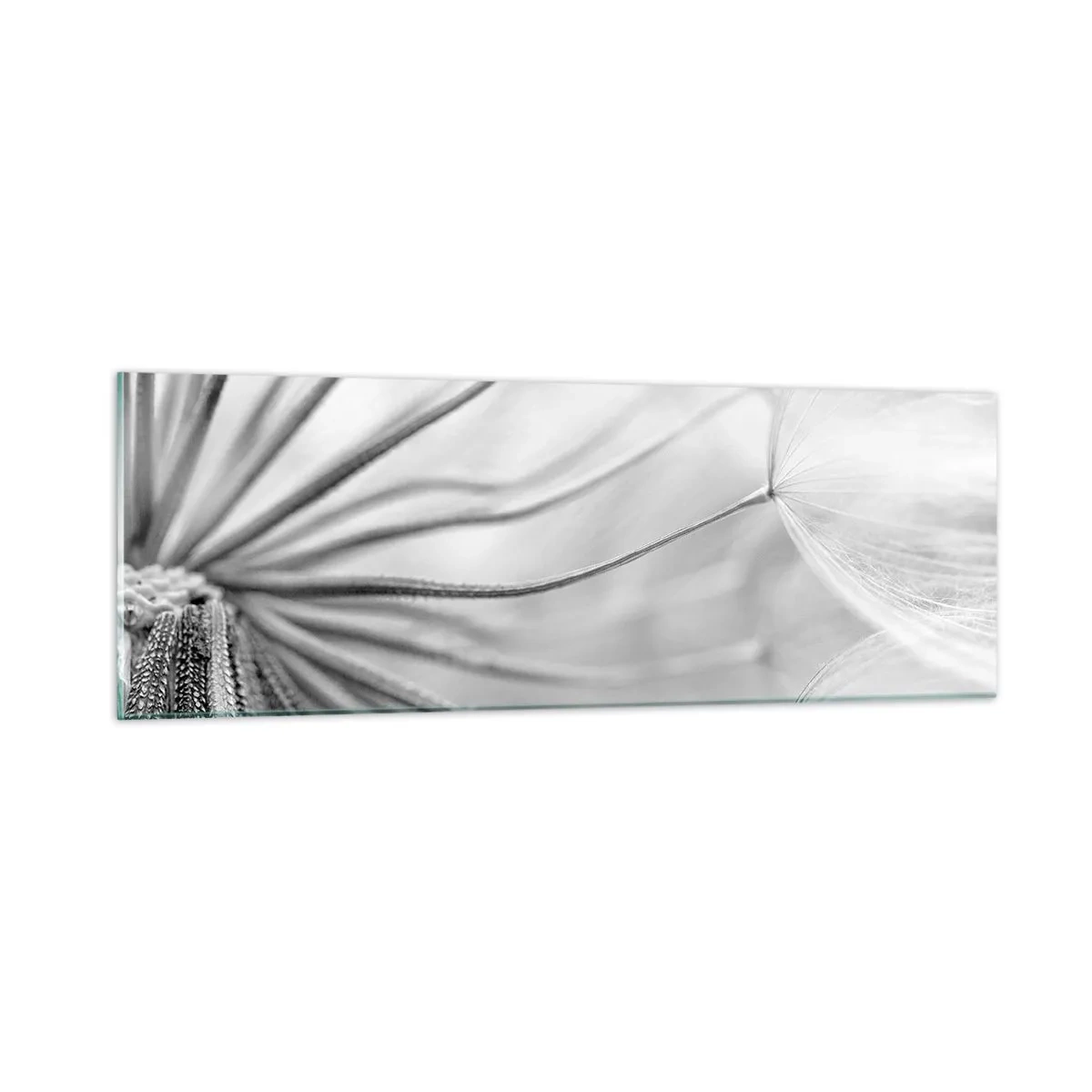 Glasbild - Bild auf glas - Löwenzahn, Drachen - 90x30 cm