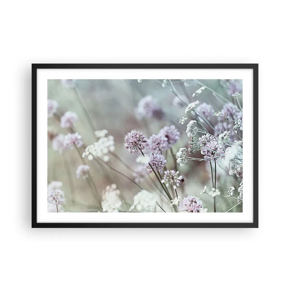 Poster in einem schwarzem Rahmen - Zarte Blüten in Pastelltönen - 70x50cm - Süße filigrane Kräuter - Moderne Wanddekoration für Wohnzimmer und Schlafzimmer ARTTOR