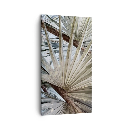 Bild auf Leinwand - Leinwandbild - Fans in den Tropen - 45x80 cm