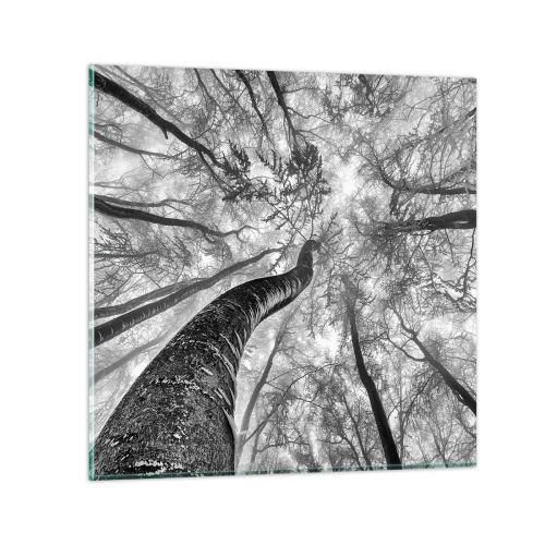 Glasbild - Bild auf glas - Rennen zum Licht - 60x60 cm