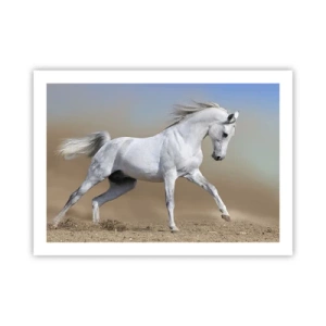 Poster - Die schönste arabische Sage - 70x50 cm