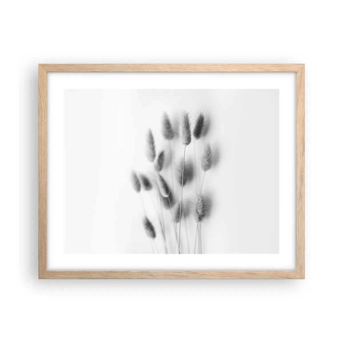 Poster in einem Rahmen aus heller Eiche - Eure flauschige Grashoheit - 50x40 cm