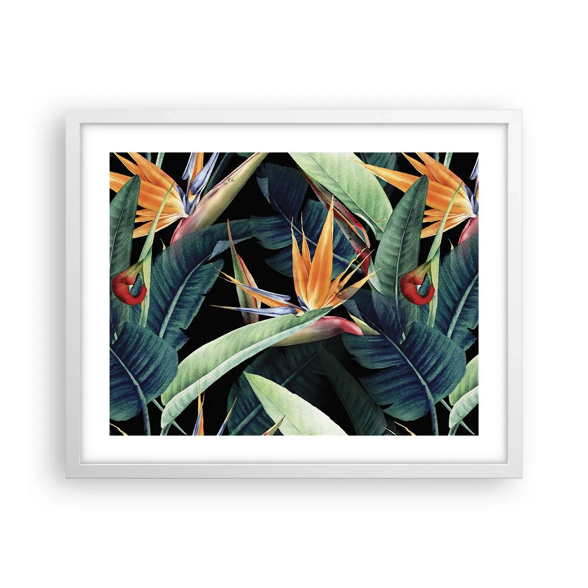 Poster in einem weißen Rahmen - Flammende Blumen der Tropen - 50x40 cm