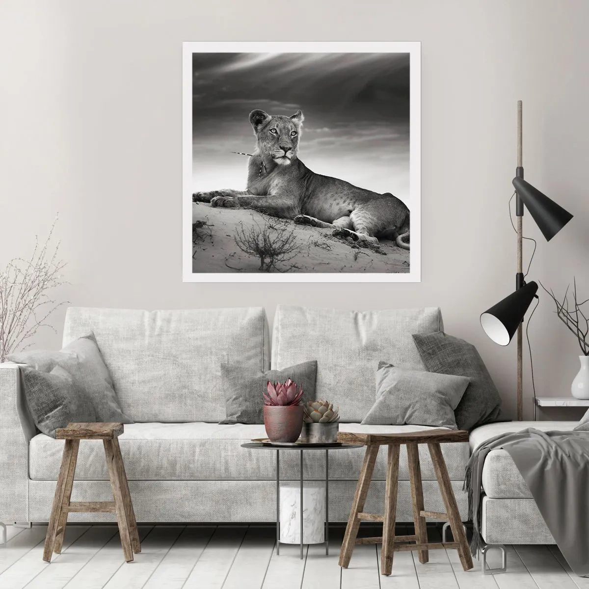 Poster - Die Königin der Wüstenruhe - 50x50 cm