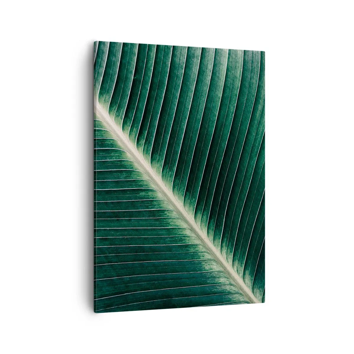 Bild auf Leinwand - Leinwandbild - Nahaufnahme der Struktur eines grünen Blattes - 50x70cm - Rhythmus der Natur - Moderne Wanddekoration für Wohnzimmer und Schlafzimmer ARTTOR