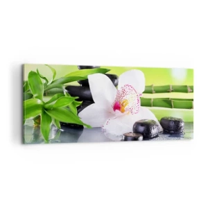 Bild auf Leinwand - Leinwandbild - Kühle Frische - 100x40 cm