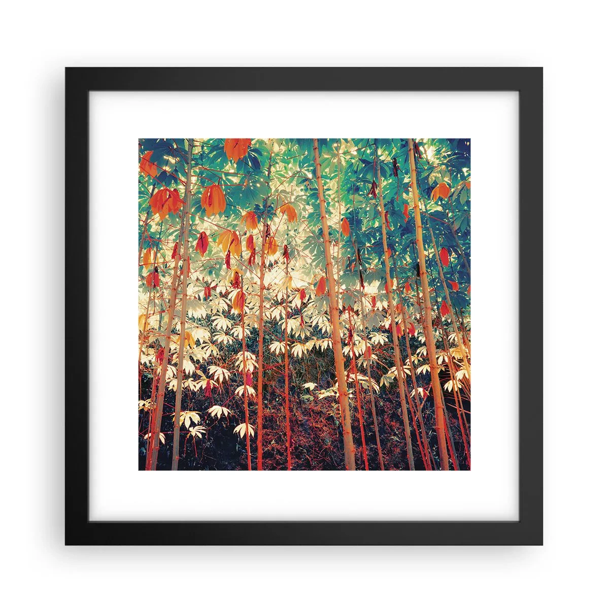 Poster in einem schwarzem Rahmen - Das geheime Leben der Blätter - 30x30 cm