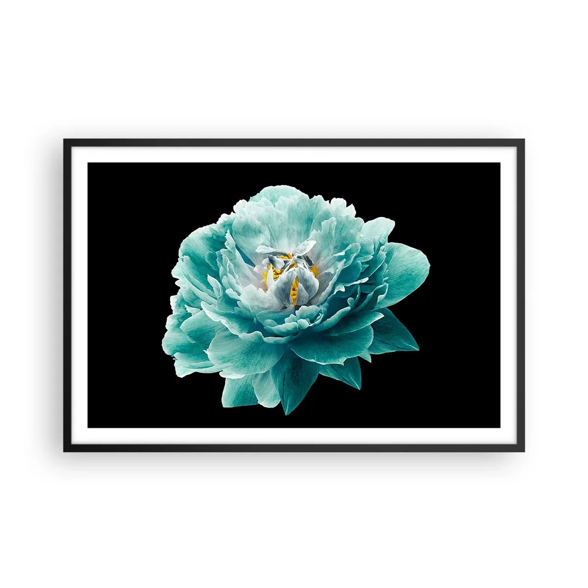 Poster in einem schwarzem Rahmen - Blaue und goldene Blütenblätter - 91x61 cm