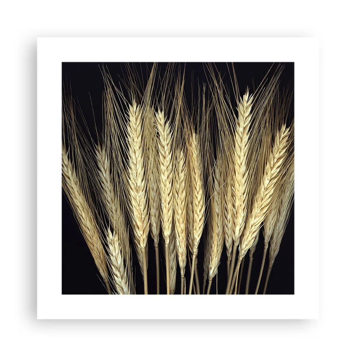 Poster - Rustikale Magie - 40x40 cm