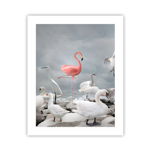 Poster - Wie kam ich hier hin? - 40x50 cm