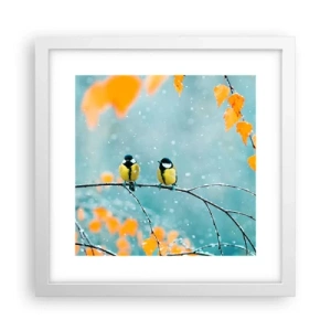 Poster in einem weißen Rahmen - Vogelklatsch - 30x30 cm
