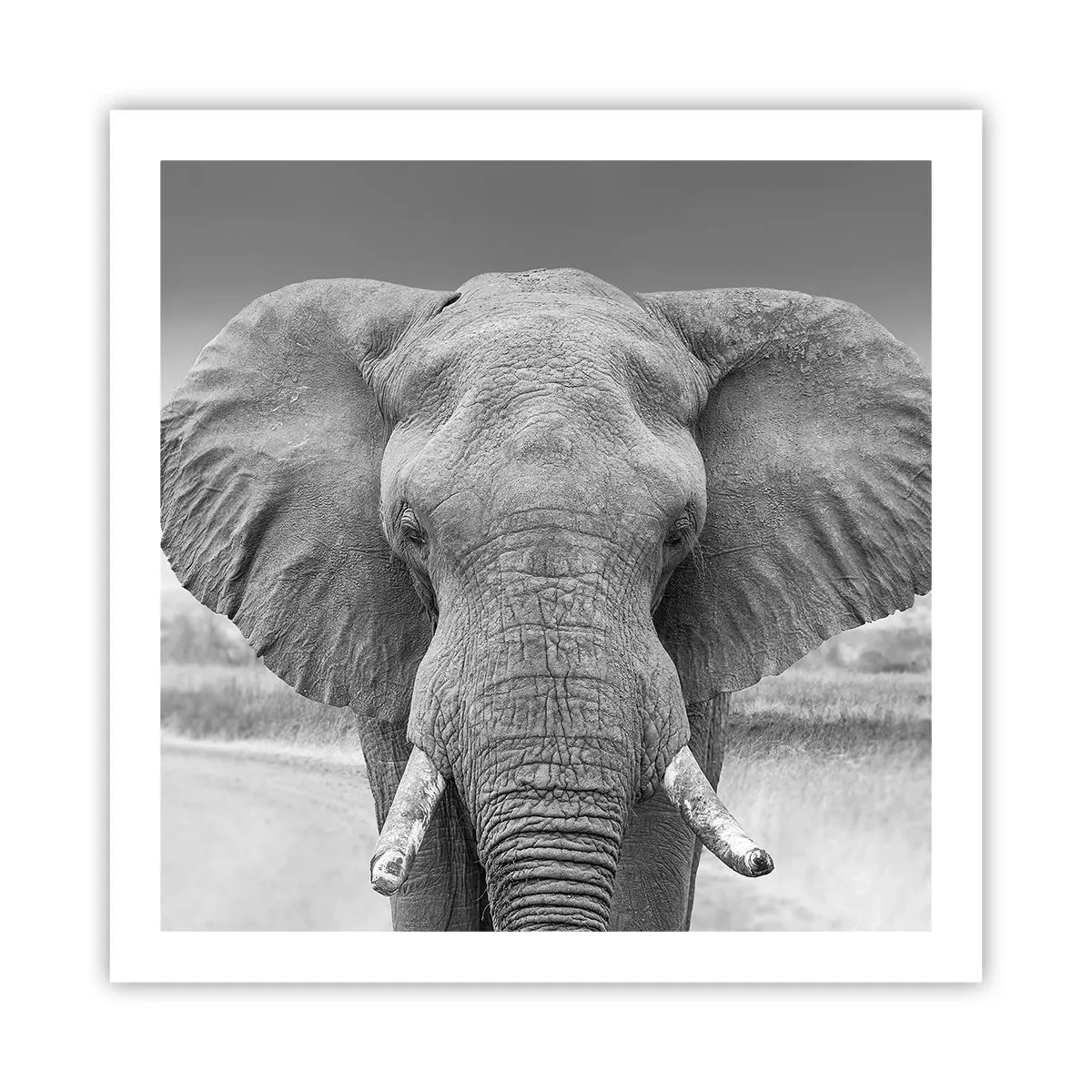 Poster - Willkommen in meiner Welt - 60x60 cm