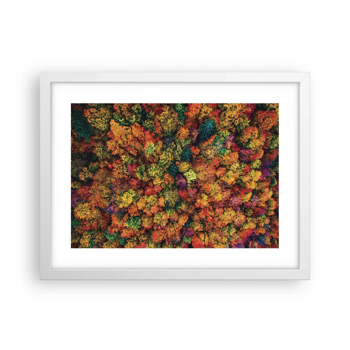 Poster in einem weißen Rahmen - Blumenstrauß aus Herbstbäumen - 40x30 cm