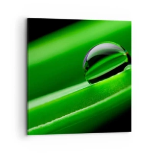 Bild auf Leinwand - Leinwandbild - Leben hautnah - 70x70 cm
