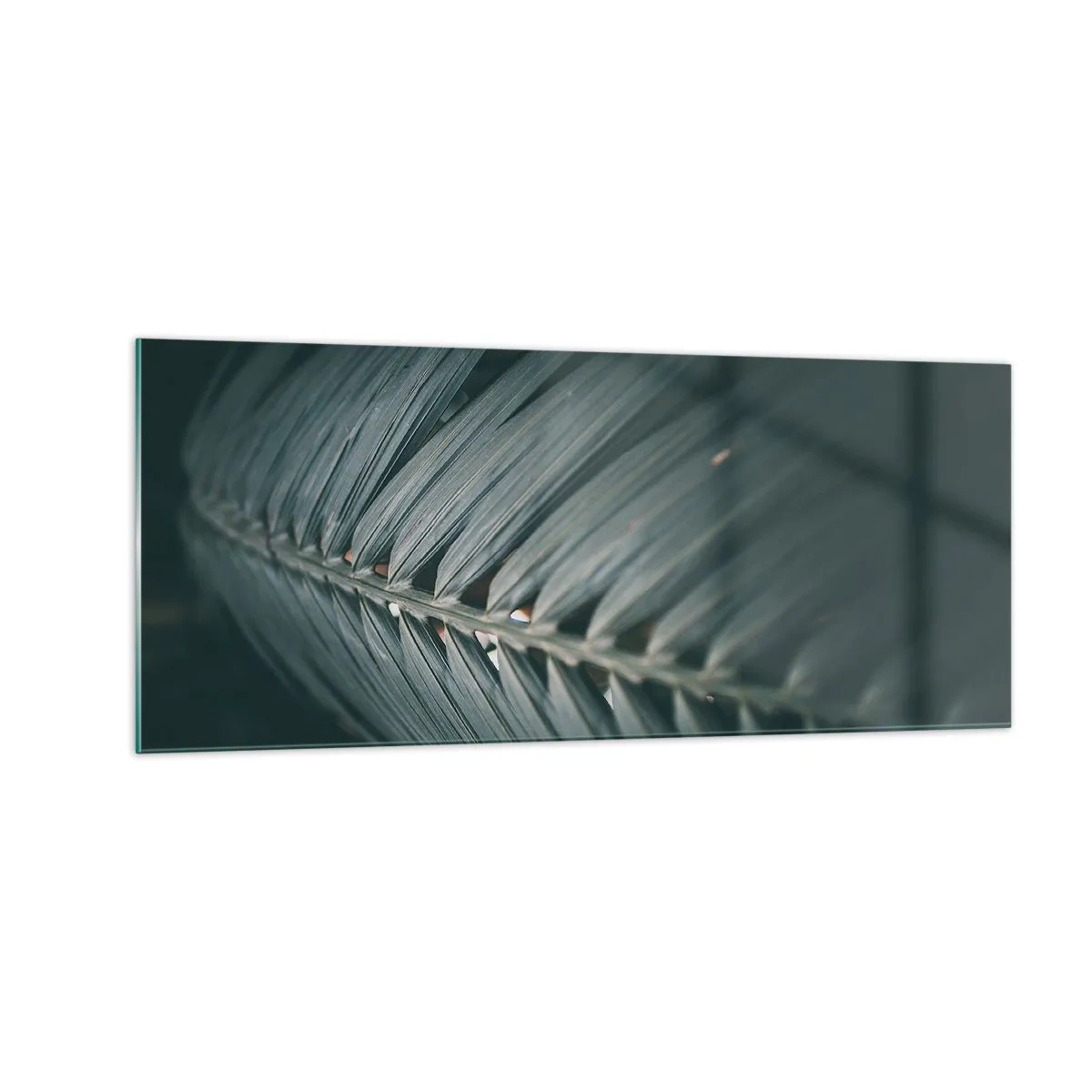 Glasbild - Bild auf glas - Die Präzision der Natur - 100x40 cm