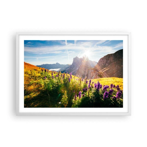 Poster in einem weißen Rahmen - Das geheime Leben der Kräuter - 70x50 cm