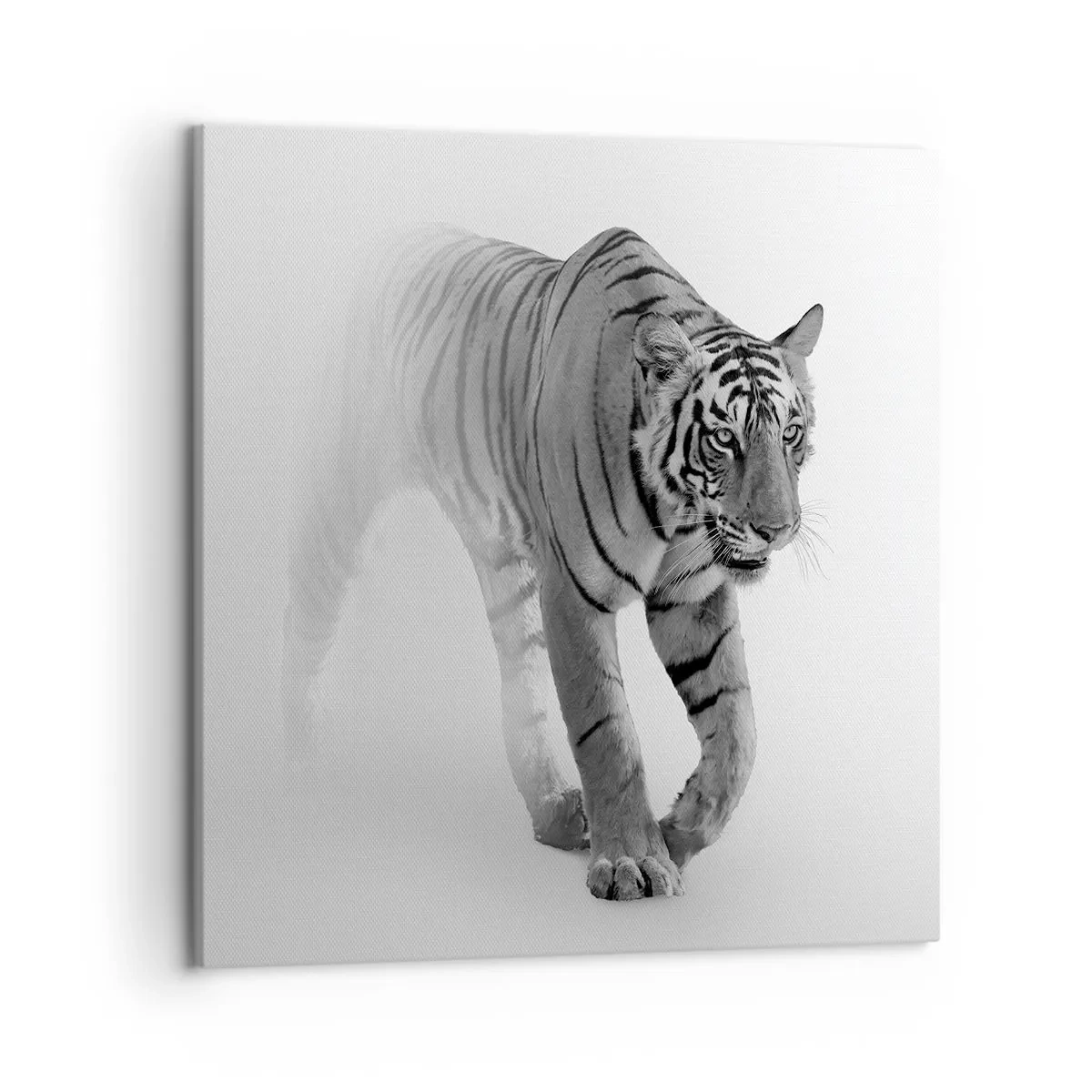 Bild auf Leinwand - Leinwandbild - Im Nebel gelauert - 50x50 cm