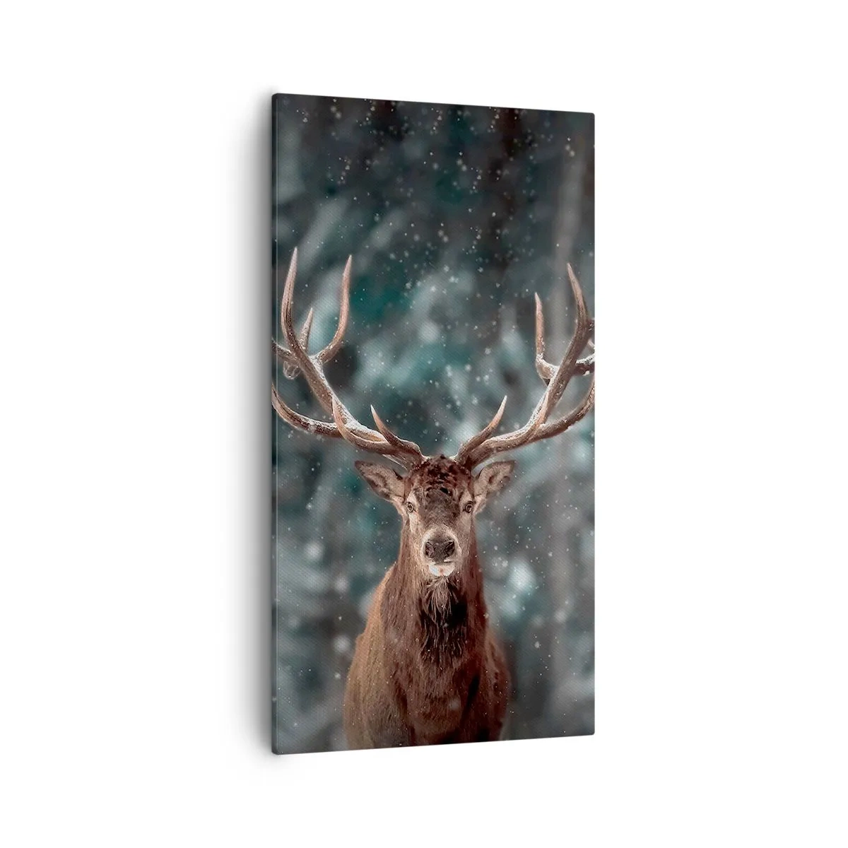 Bild auf Leinwand - Leinwandbild - Gekrönter König des Waldes - 55x100 cm