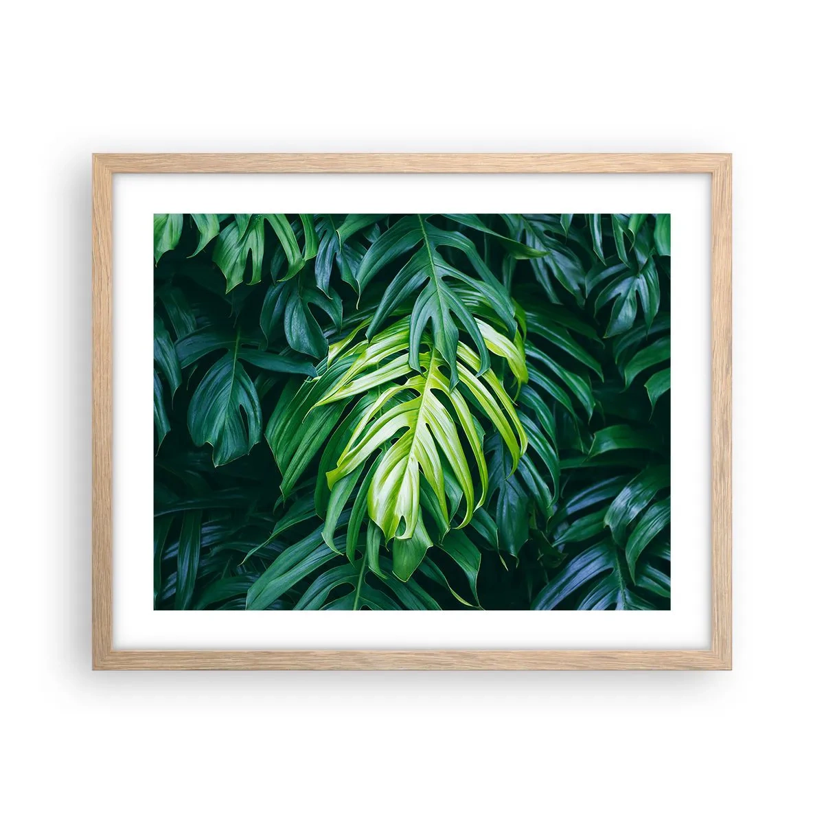 Poster in einem Rahmen aus heller Eiche - Tauchen Sie ein in die Frische - 50x40 cm