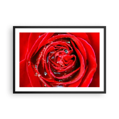 Poster in einem schwarzem Rahmen - Nahaufnahme einer roten Rose mit Wassertropfen auf den Blütenblättern - 70x50cm - In den Tautropfen - Moderne Wanddekoration für Wohnzimmer und Schlafzimmer ARTTOR